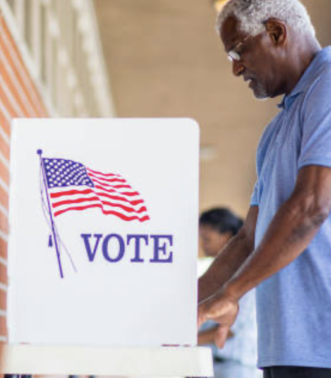 Voting Rights Icon